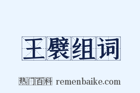 王襞组词是什么意思的图片